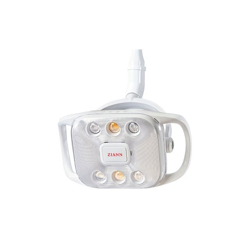 ZIANN Dental Unit (Economic)