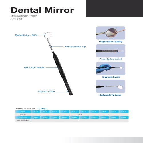 Sani Mirror